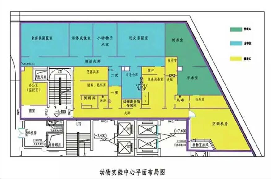 動(dòng)物實(shí)驗(yàn)室效果圖